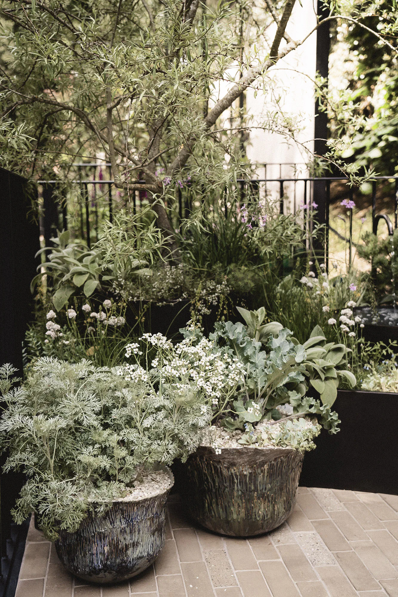 RHS Chelsea Blue Mind Garden