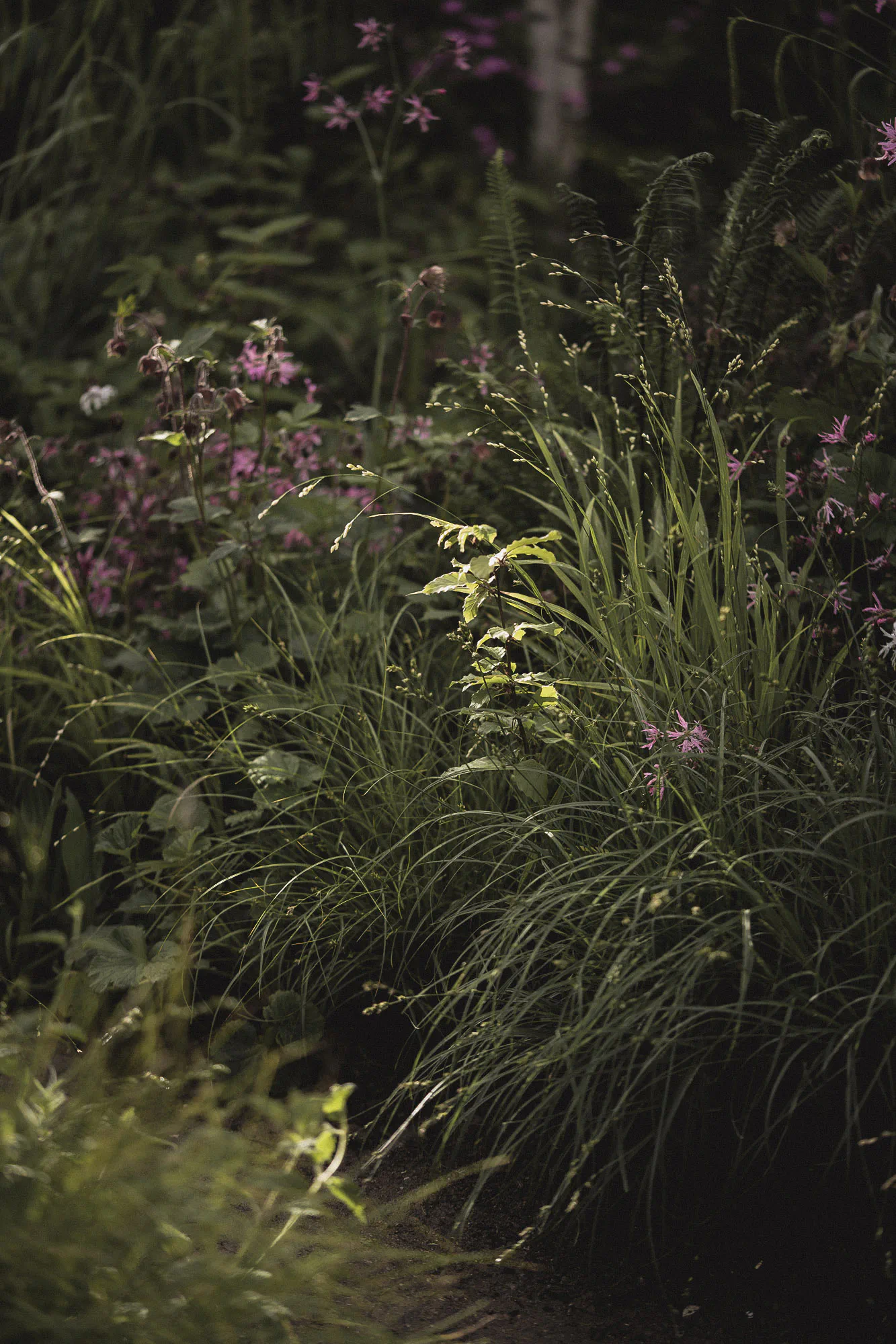 Woodland Trust: 49% Garden