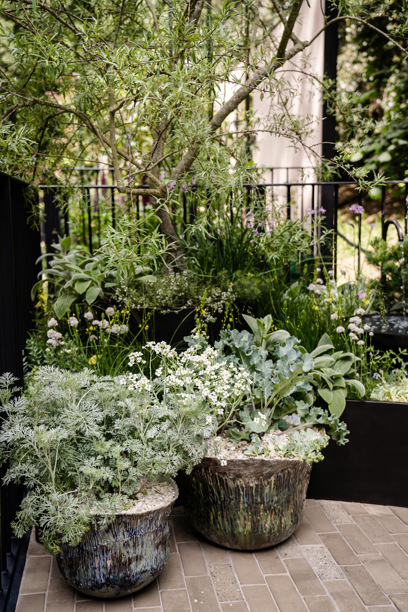 RHS Chelsea Blue Mind Garden hero image