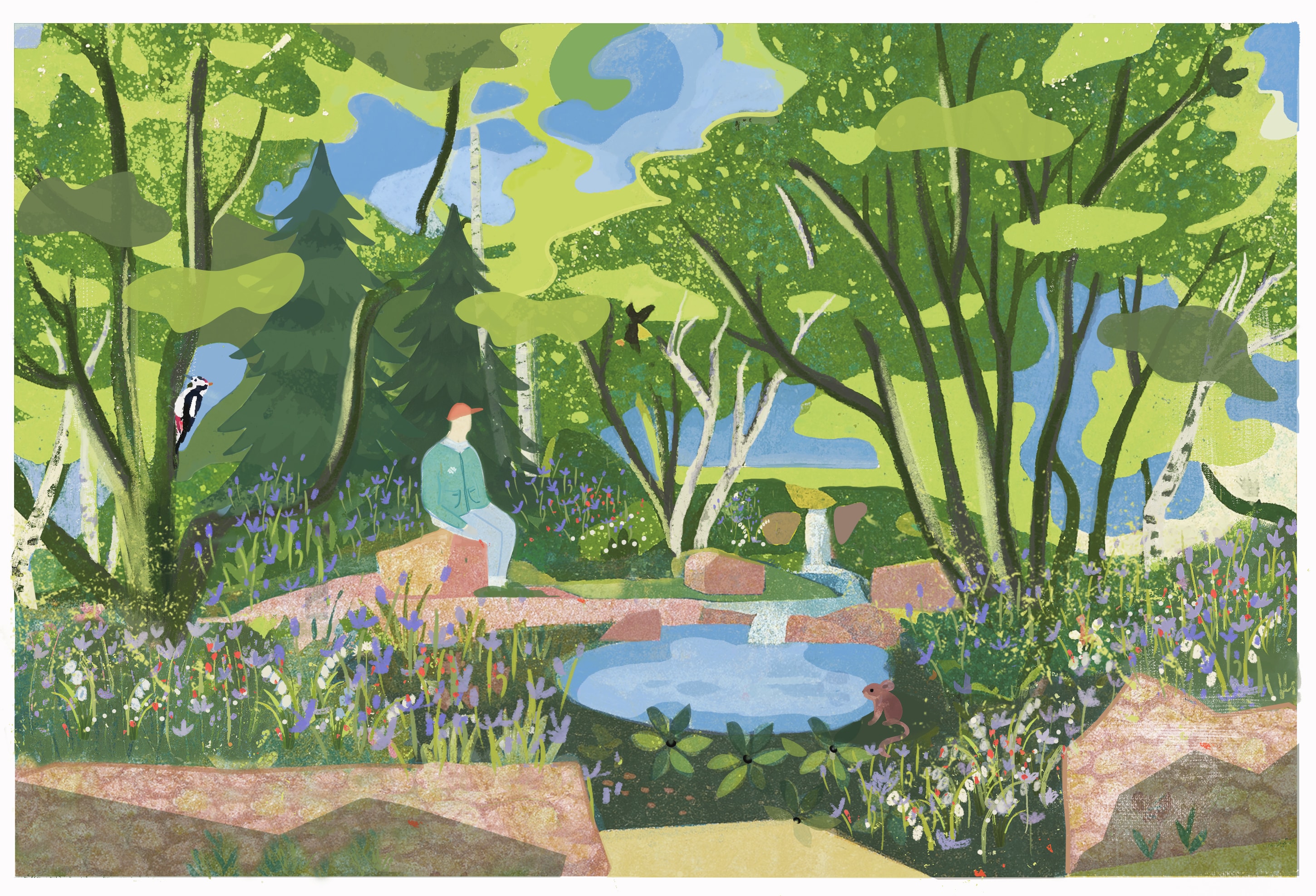 RHS Chelsea Forgotten Forests hero image